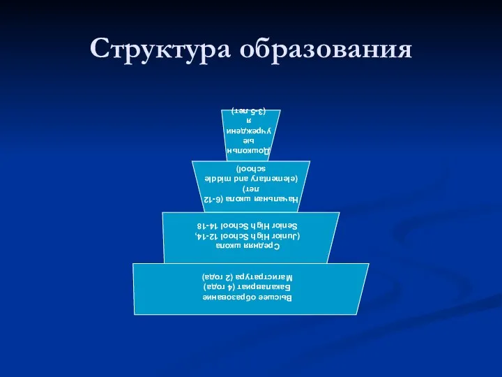 Структура образования