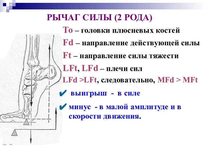 То – головки плюсневых костей Fd – направление действующей силы Ft