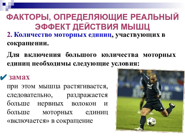 2. Количество моторных единиц, участвующих в сокращении. ФАКТОРЫ, ОПРЕДЕЛЯЮЩИЕ РЕАЛЬНЫЙ ЭФФЕКТ