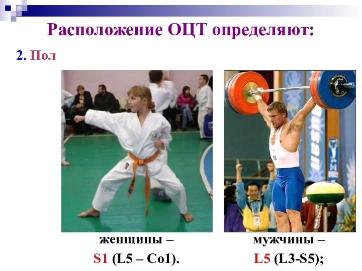 Расположение ОЦТ определяют: 2. Пол мужчины – L5 (L3-S5); женщины – S1 (L5 – Co1).