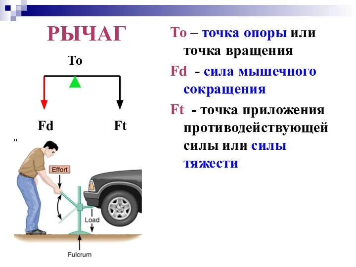 РЫЧАГ То – точка опоры или точка вращения Fd - сила