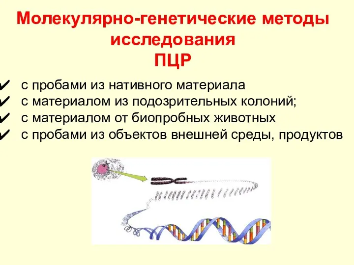 Молекулярно-генетические методы исследования ПЦР с пробами из нативного материала с материалом