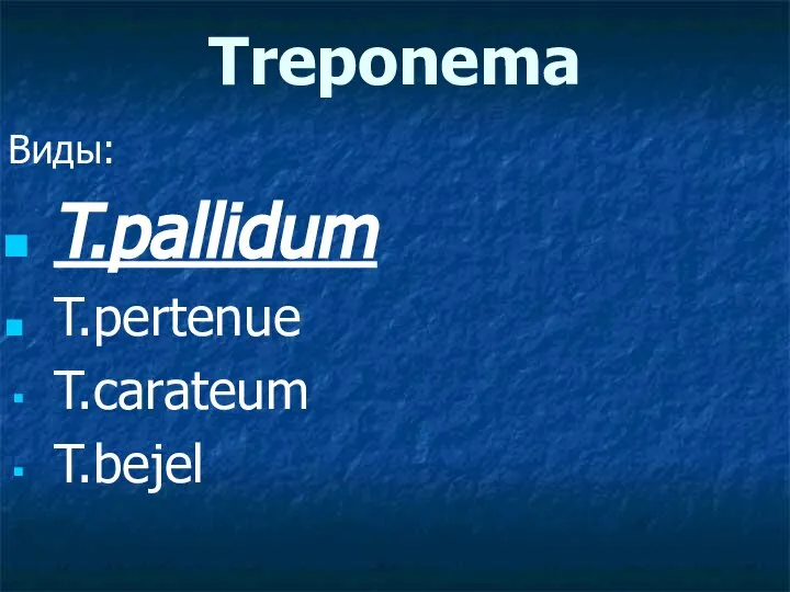 Treponema Виды: T.pallidum T.pertenue T.carateum T.bejel