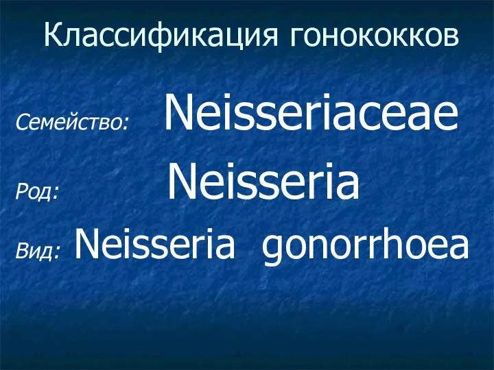 Классификация гонококков Семейство: Neisseriaceae Род: Neisseria Вид: Neisseria gonorrhoea