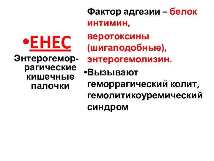 EHEC Энтерогемор-рагические кишечные палочки Фактор адгезии – белок интимин, веротоксины (шигаподобные),