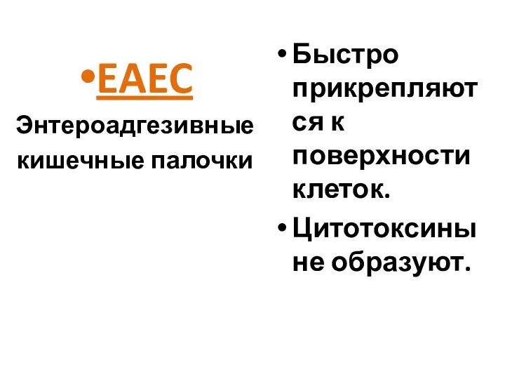 EAEC Энтероадгезивные кишечные палочки Быстро прикрепляются к поверхности клеток. Цитотоксины не образуют.