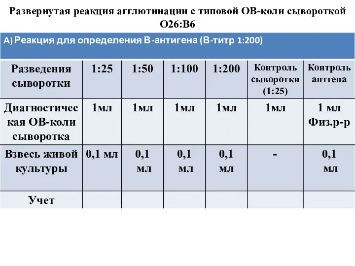 Развернутая реакция агглютинации с типовой ОВ-коли сывороткой О26:В6