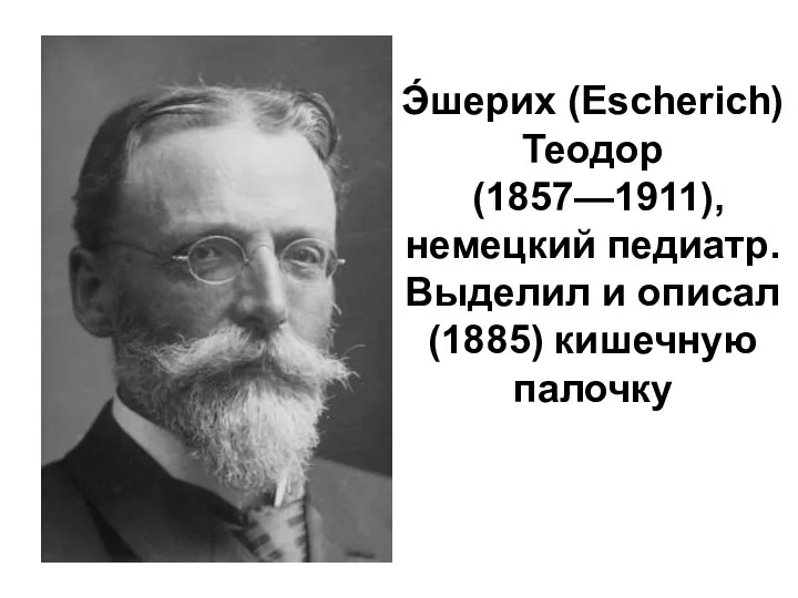 Э́шерих (Escherich) Теодор (1857—1911), немецкий педиатр. Выделил и описал (1885) кишечную палочку