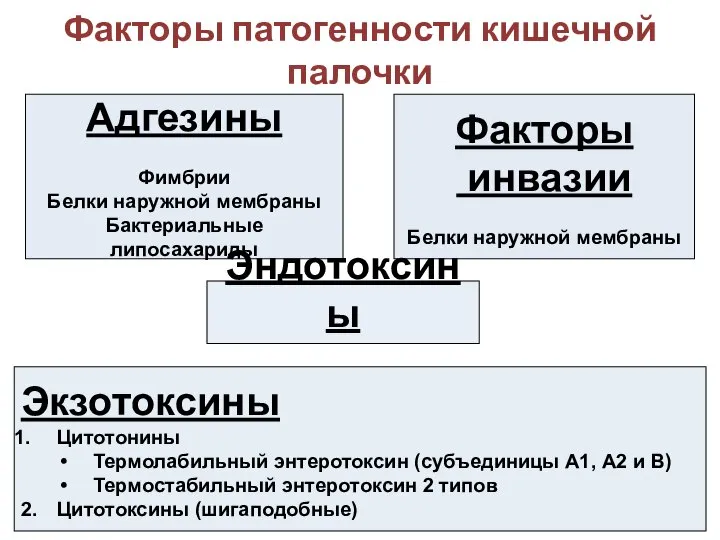 Факторы патогенности кишечной палочки Адгезины Фимбрии Белки наружной мембраны Бактериальные липосахариды