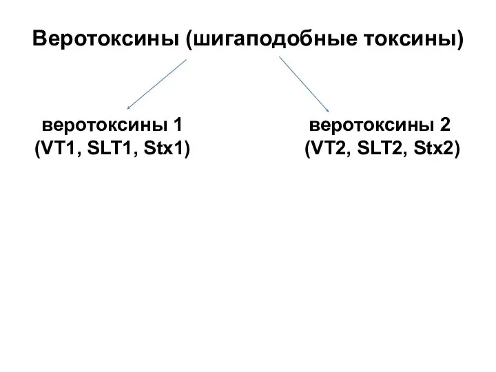 Веротоксины (шигаподобные токсины) веротоксины 1 (VT1, SLT1, Stx1) веротоксины 2 (VT2, SLT2, Stx2)