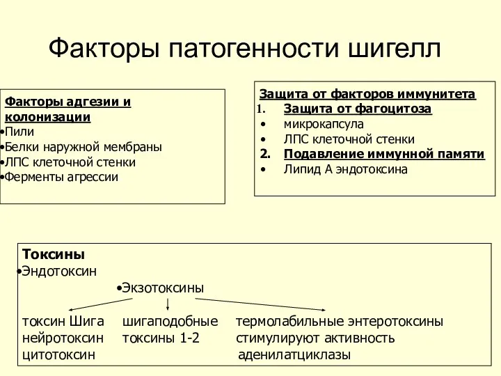 Факторы патогенности шигелл Факторы адгезии и колонизации Пили Белки наружной мембраны