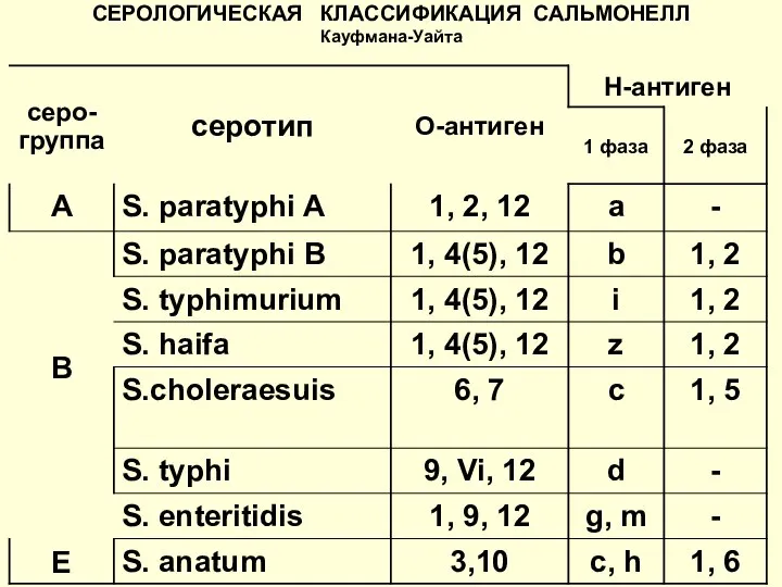 СЕРОЛОГИЧЕСКАЯ КЛАССИФИКАЦИЯ САЛЬМОНЕЛЛ Кауфмана-Уайта