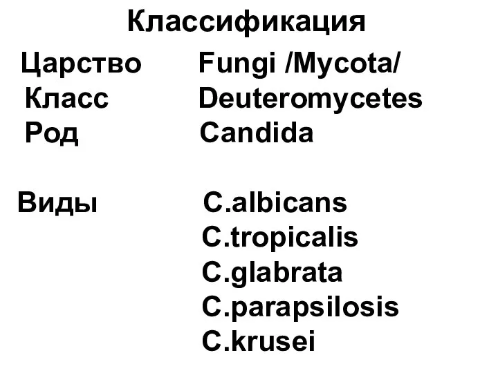 Классификация Царство Fungi /Mycota/ Класс Deuteromycetes Род Candida Виды C.albicans C.tropicalis C.glabrata C.parapsilosis C.krusei