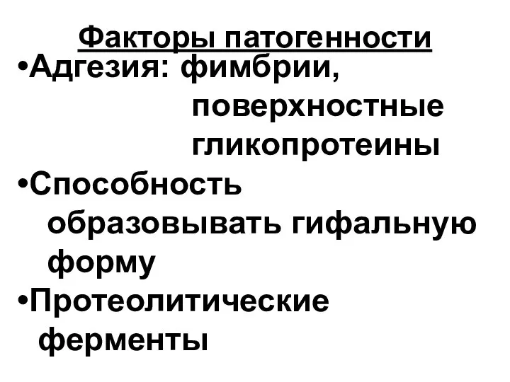 Факторы патогенности Адгезия: фимбрии, поверхностные гликопротеины Способность образовывать гифальную форму Протеолитические ферменты