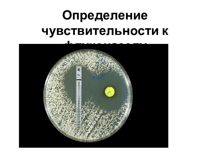 Определение чувствительности к флуконазолу