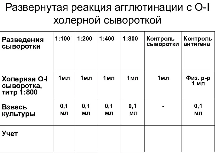 Развернутая реакция агглютинации с О-I холерной сывороткой