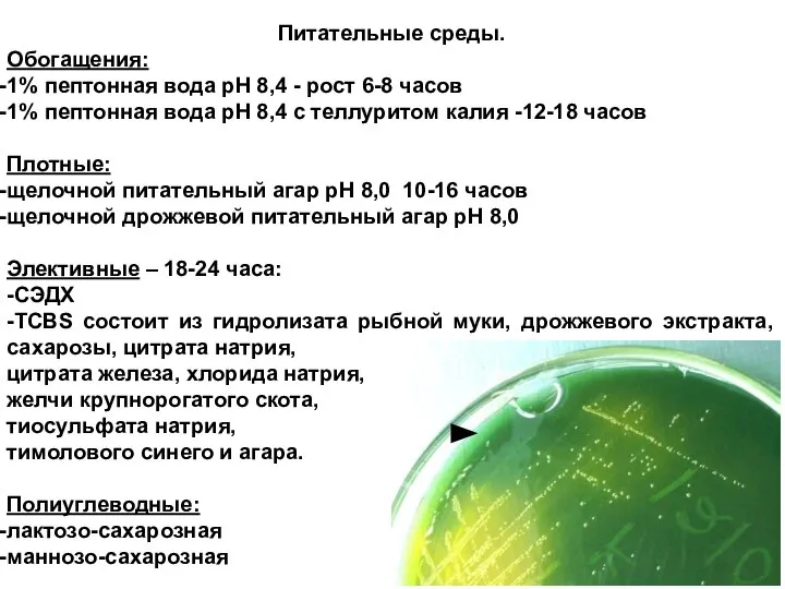 Питательные среды. Обогащения: 1% пептонная вода рН 8,4 - рост 6-8