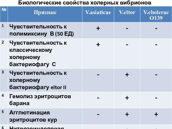 Биологические свойства холерных вибрионов