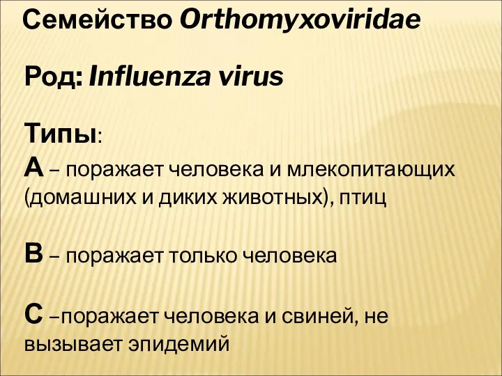 Семейство Orthomyxoviridae Род: Influenza virus Типы: А – поражает человека и
