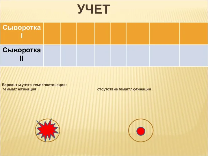 УЧЕТ Варианты учета гемагглютинации: геммаглютинация отсутствие гемагглютинации