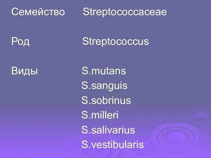 Семейство Streptococcaceae Род Streptococcus Виды S.mutans S.sanguis S.sobrinus S.milleri S.salivarius S.vestibularis