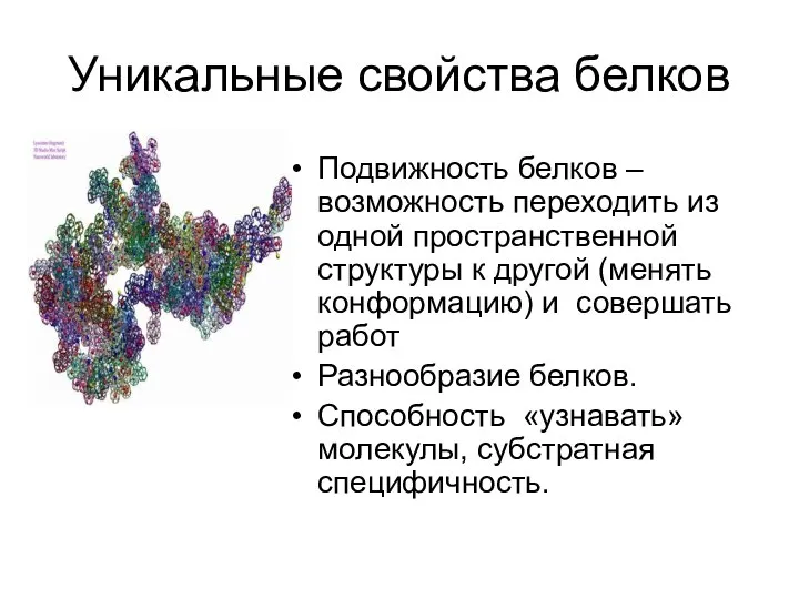 Уникальные свойства белков Подвижность белков – возможность переходить из одной пространственной