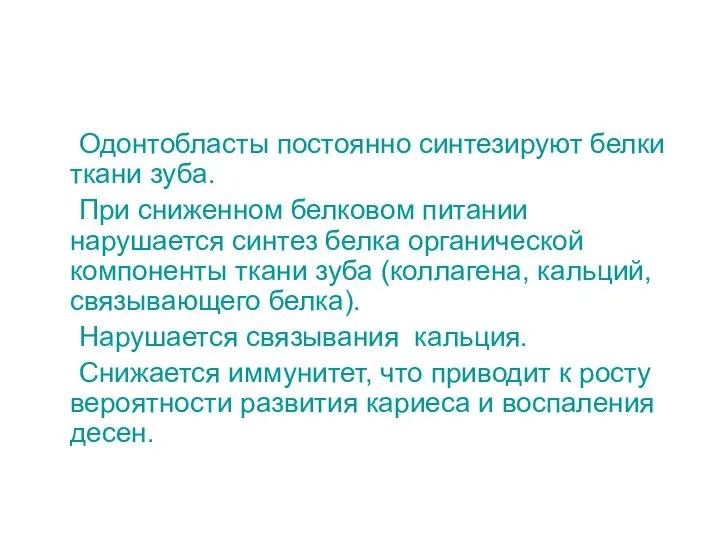 Одонтобласты постоянно синтезируют белки ткани зуба. При сниженном белковом питании нарушается