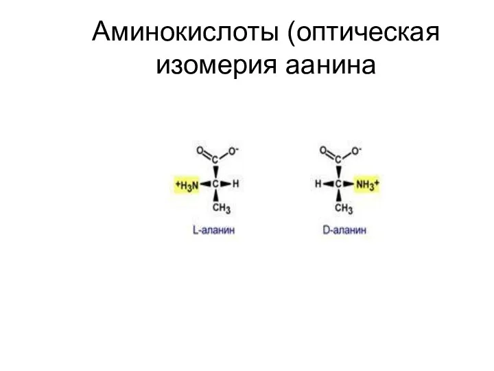 Аминокислоты (оптическая изомерия аанина