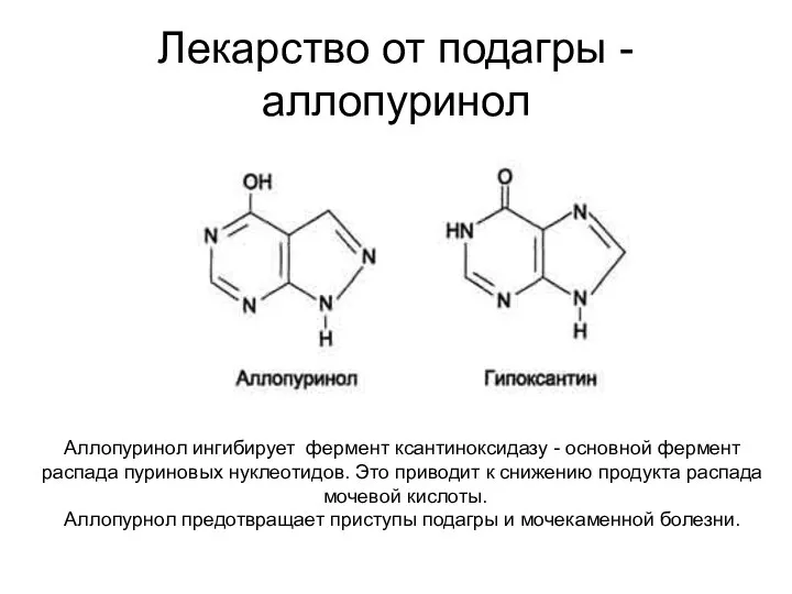 Лекарство от подагры -аллопуринол Аллопуринол ингибирует фермент ксантиноксидазу - основной фермент