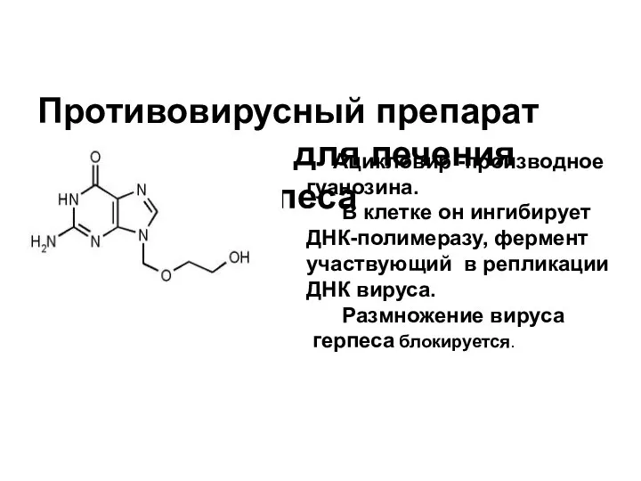 Противовирусный препарат - ацикловир для лечения герпеса Ацикловир -производное гуанозина. В