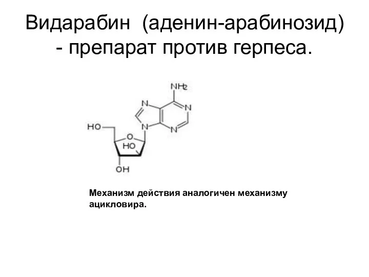 Видарабин (аденин-арабинозид) - препарат против герпеса. Механизм действия аналогичен механизму ацикловира.