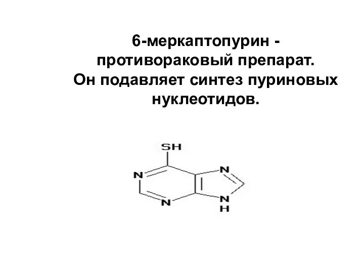 6-меркаптопурин, противораковый препарат 6-меркаптопурин - противораковый препарат. Он подавляет синтез пуриновых нуклеотидов.