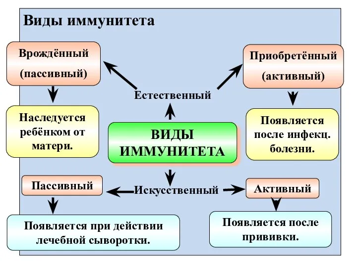 Виды иммунитета ВИДЫ ИММУНИТЕТА Естественный Искусственный Врождённый (пассивный) Наследуется ребёнком от