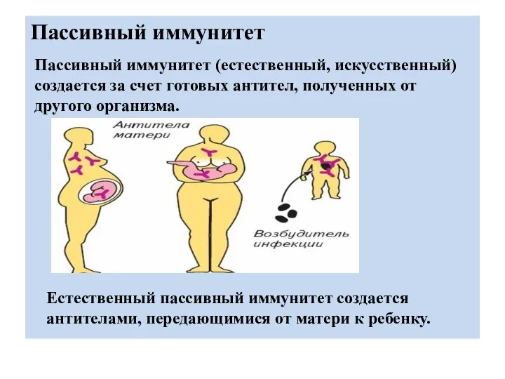 Пассивный иммунитет Пассивный иммунитет (естественный, искусственный) создается за счет готовых антител,