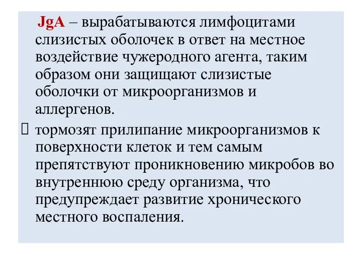 JgA – вырабатываются лимфоцитами слизистых оболочек в ответ на местное воздействие