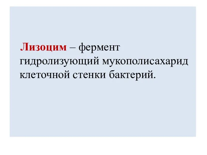 Лизоцим – фермент гидролизующий мукополисахарид клеточной стенки бактерий.