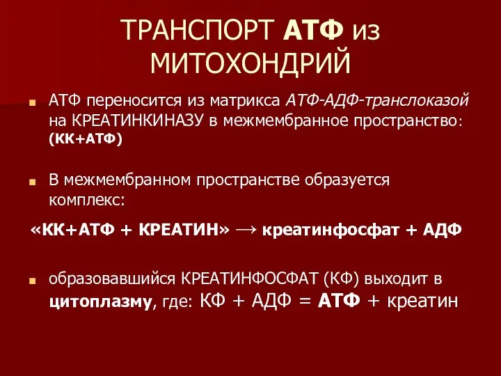 ТРАНСПОРТ АТФ из МИТОХОНДРИЙ АТФ переносится из матрикса АТФ-АДФ-транслоказой на КРЕАТИНКИНАЗУ