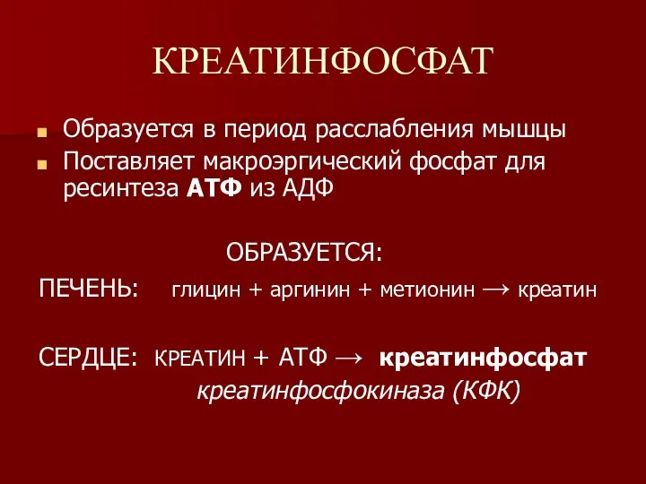 КРЕАТИНФОСФАТ Образуется в период расслабления мышцы Поставляет макроэргический фосфат для ресинтеза