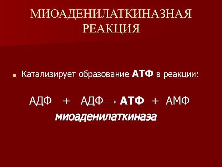 МИОАДЕНИЛАТКИНАЗНАЯ РЕАКЦИЯ Катализирует образование АТФ в реакции: АДФ + АДФ → АТФ + АМФ миоаденилаткиназа