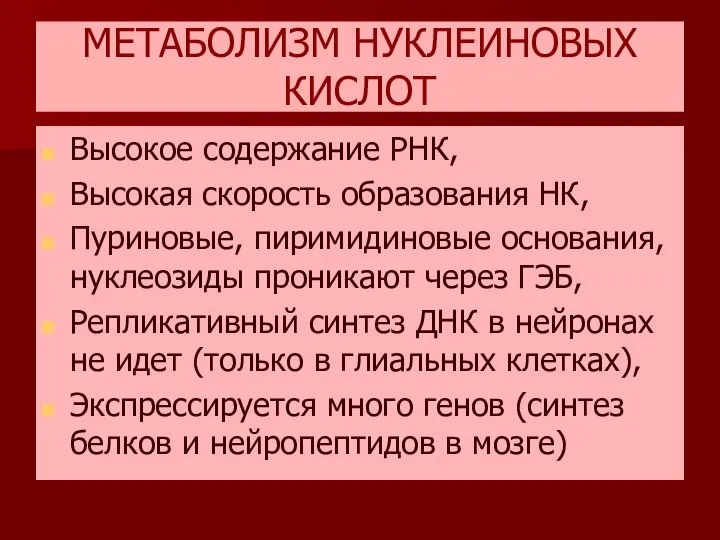 МЕТАБОЛИЗМ НУКЛЕИНОВЫХ КИСЛОТ Высокое содержание РНК, Высокая скорость образования НК, Пуриновые,