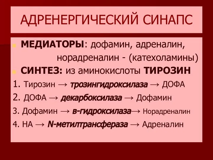 АДРЕНЕРГИЧЕСКИЙ СИНАПС МЕДИАТОРЫ: дофамин, адреналин, норадреналин - (катехоламины) СИНТЕЗ: из аминокислоты