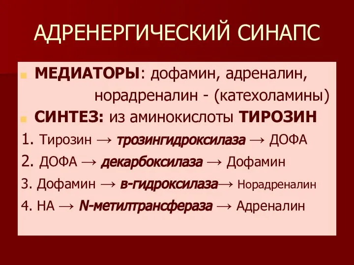 АДРЕНЕРГИЧЕСКИЙ СИНАПС МЕДИАТОРЫ: дофамин, адреналин, норадреналин - (катехоламины) СИНТЕЗ: из аминокислоты