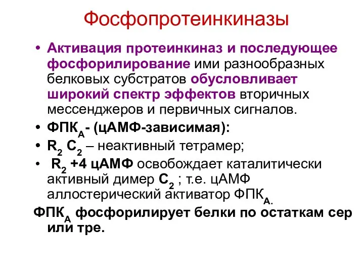 Фосфопротеинкиназы Активация протеинкиназ и последующее фосфорилирование ими разнообразных белковых субстратов обусловливает