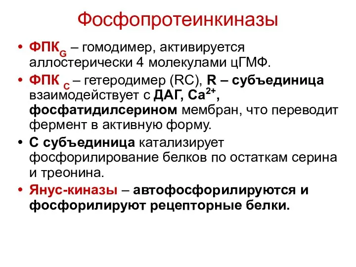 Фосфопротеинкиназы ФПКG – гомодимер, активируется аллостерически 4 молекулами цГМФ. ФПК С