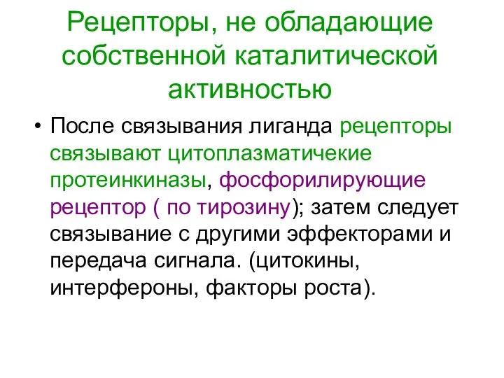 Рецепторы, не обладающие собственной каталитической активностью После связывания лиганда рецепторы связывают