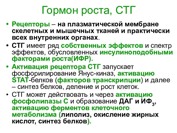 Гормон роста, СТГ Рецепторы – на плазматической мембране скелетных и мышечных