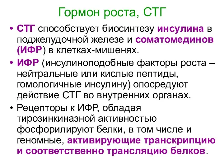 Гормон роста, СТГ СТГ способствует биосинтезу инсулина в поджелудочной железе и