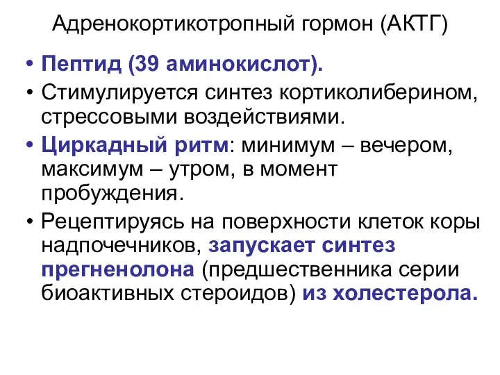 Адренокортикотропный гормон (АКТГ) Пептид (39 аминокислот). Стимулируется синтез кортиколиберином, стрессовыми воздействиями.