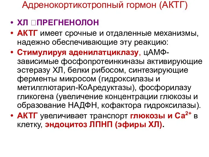 Адренокортикотропный гормон (АКТГ) ХЛ ?ПРЕГНЕНОЛОН АКТГ имеет срочные и отдаленные механизмы,