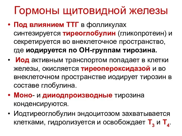 Гормоны щитовидной железы Под влиянием ТТГ в фолликулах синтезируется тиреоглобулин (гликопротеин)